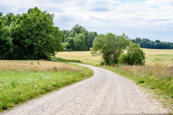 Stone Driveway Repair in Mchenry