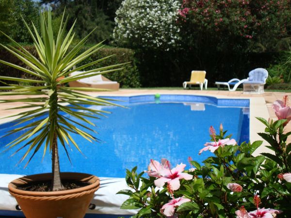 Cost of Pool Terrace Renovation in Mchenry