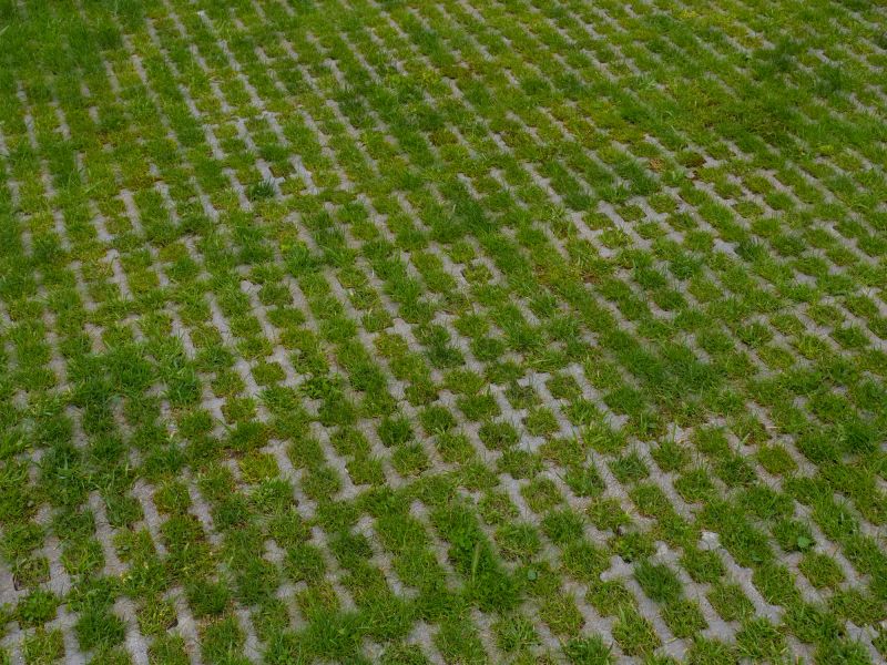 Pavers Maintenance Work